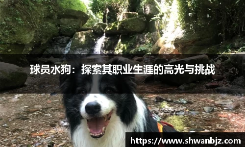 球员水狗：探索其职业生涯的高光与挑战